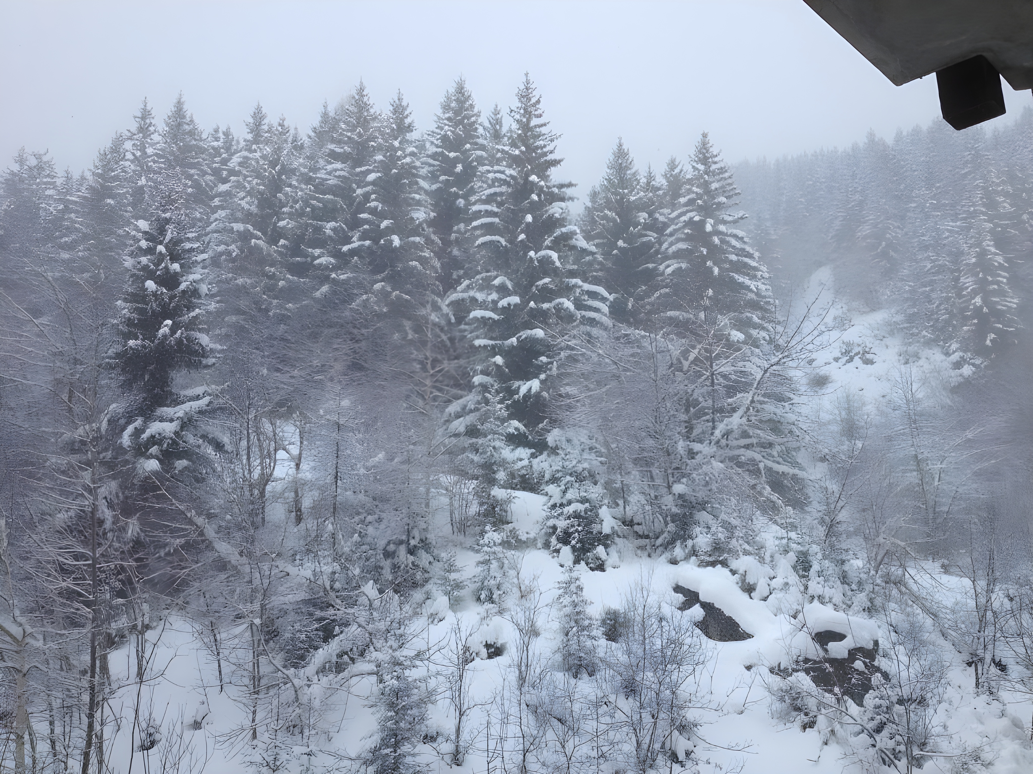 LA TANIA COURCHEVEL 73120